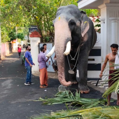 InTheOutdoors of Nature DODDAIAH . E ಬೆಂಗಳೂರು post image