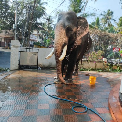 cochin fitness freaks DODDAIAH . E ಬೆಂಗಳೂರು post image