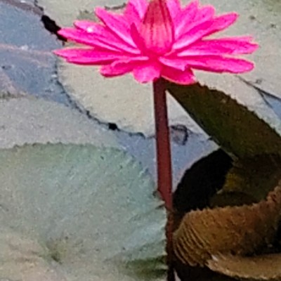 Let’s Walk for Better Health DODDAIAH . E ಬೆಂಗಳೂರು post image