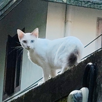 Ziel 2000 Schritte plus DODDAIAH . E ಬೆಂಗಳೂರು post image