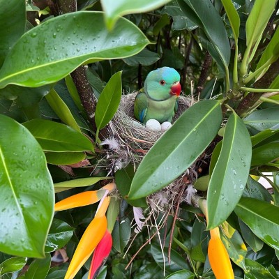 tbs DODDAIAH . E ಬೆಂಗಳೂರು post image