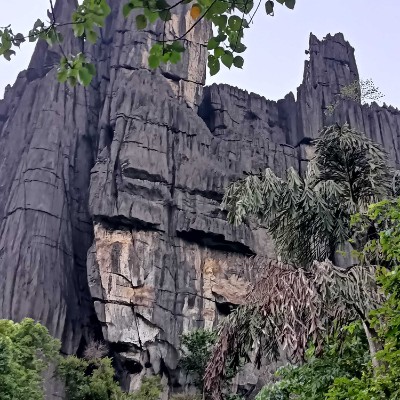 Witness the fitness DODDAIAH . E ಬೆಂಗಳೂರು post image