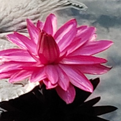 Team South Africa DODDAIAH . E ಬೆಂಗಳೂರು post image