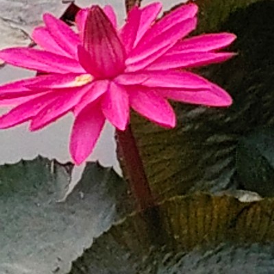 Шагуны БК DODDAIAH . E ಬೆಂಗಳೂರು post image