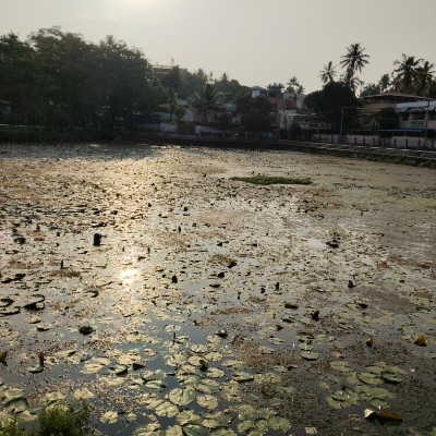 Zdrowo i kolorowo DODDAIAH . E ಬೆಂಗಳೂರು post image