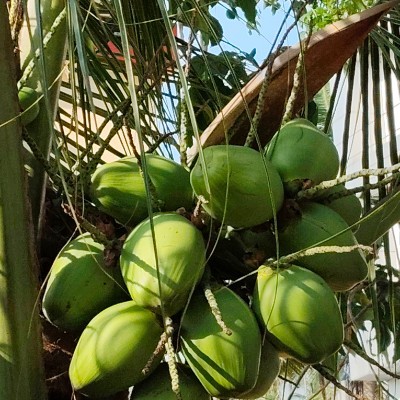 Turn Dream in Reality DODDAIAH . E ಬೆಂಗಳೂರು post image