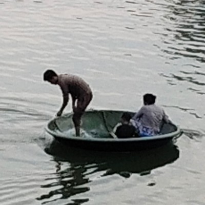 kangaroos & koalas DODDAIAH . E ಬೆಂಗಳೂರು post image