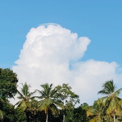 Шагуны БК DODDAIAH . E ಬೆಂಗಳೂರು post image