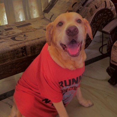 Let’s Walk for Better Health DODDAIAH . E ಬೆಂಗಳೂರು post image