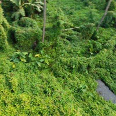 kangaroos & koalas DODDAIAH . E ಬೆಂಗಳೂರು post image