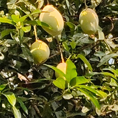 Turn Dream in Reality DODDAIAH . E ಬೆಂಗಳೂರು post image