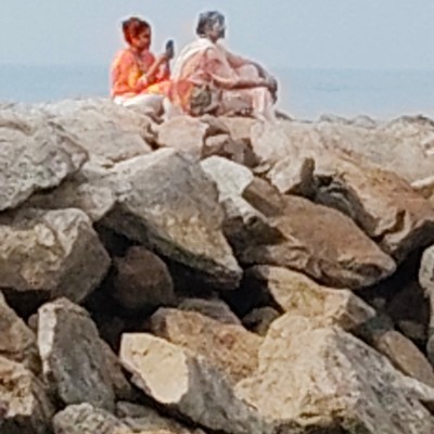 kangaroos & koalas DODDAIAH . E ಬೆಂಗಳೂರು post image