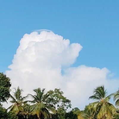 Walking club DODDAIAH . E ಬೆಂಗಳೂರು post image