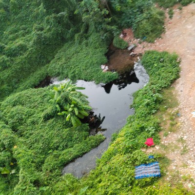 kangaroos & koalas DODDAIAH . E ಬೆಂಗಳೂರು post image