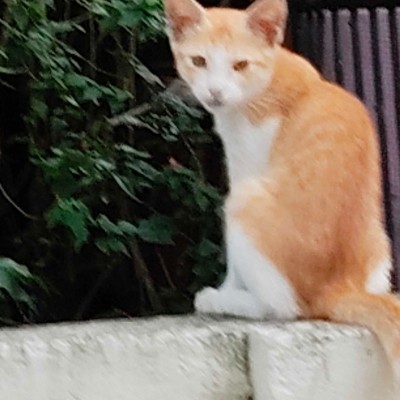 The one of a kinds DODDAIAH . E ಬೆಂಗಳೂರು post image