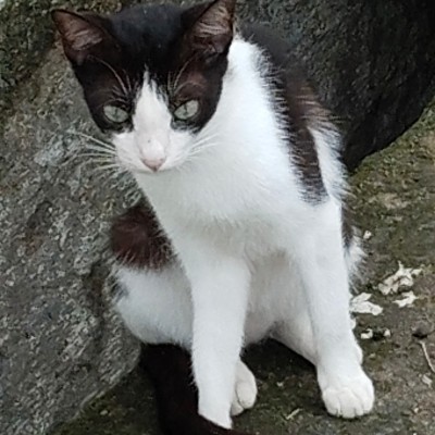 열심히 걷자 DODDAIAH . E ಬೆಂಗಳೂರು post image