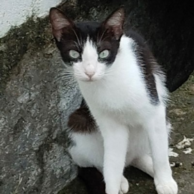 열심히 걷자 DODDAIAH . E ಬೆಂಗಳೂರು post image