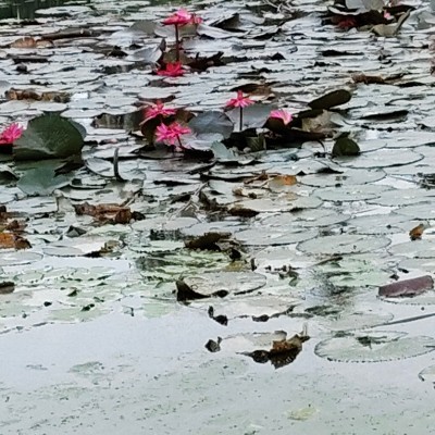 Witness the fitness ⭐️ DODDAIAH . E ಬೆಂಗಳೂರು post image