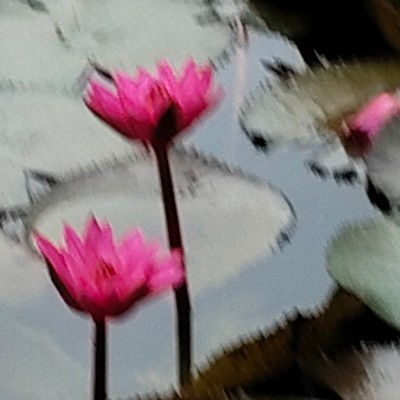 Hung DODDAIAH . E ಬೆಂಗಳೂರು post image