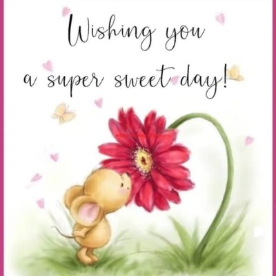 Ziel 2000 Schritte plus DODDAIAH . E ಬೆಂಗಳೂರು post image