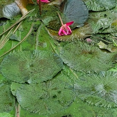 Witness the fitness ⭐️ DODDAIAH . E ಬೆಂಗಳೂರು post image