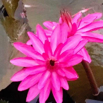 Tripoli🇱🇾Libya DODDAIAH . E ಬೆಂಗಳೂರು post image