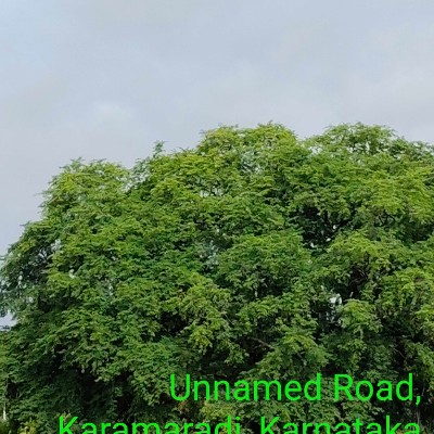 East Coast Beach Walkers Chennai DODDAIAH . E ಬೆಂಗಳೂರು post image