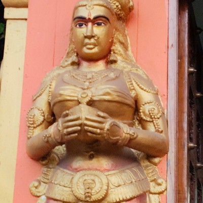 Protect The Ecosystem DODDAIAH . E ಬೆಂಗಳೂರು post image