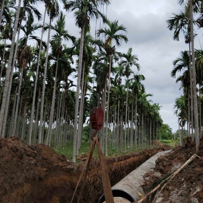 walking for health DODDAIAH . E ಬೆಂಗಳೂರು post image