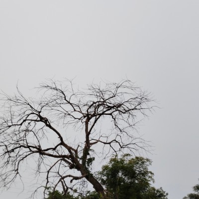 Most step 10000 DODDAIAH . E ಬೆಂಗಳೂರು post image