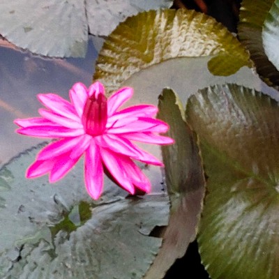 Desafío fisca DODDAIAH . E ಬೆಂಗಳೂರು post image