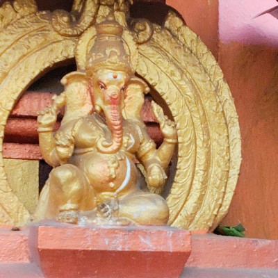 Protect The Ecosystem DODDAIAH . E ಬೆಂಗಳೂರು post image