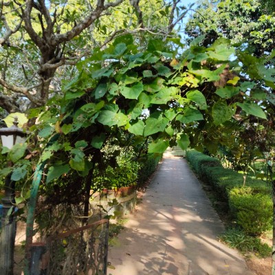 🤝🌼STAY HEALTHY AND SAFE🌼🤝 DODDAIAH . E ಬೆಂಗಳೂರು post image