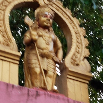 Protect The Ecosystem DODDAIAH . E ಬೆಂಗಳೂರು post image