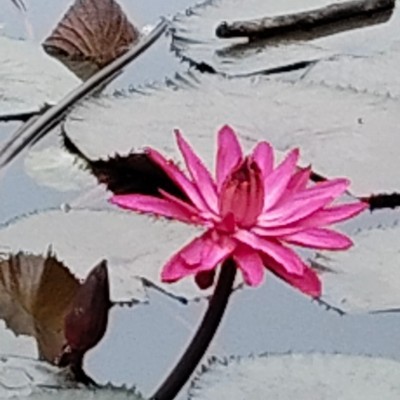 Walkers of the World DODDAIAH . E ಬೆಂಗಳೂರು post image