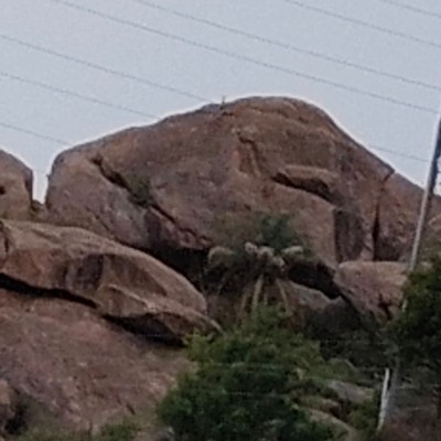 Most step 10000 DODDAIAH . E ಬೆಂಗಳೂರು post image