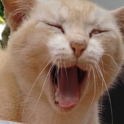 my peeps DODDAIAH . E ಬೆಂಗಳೂರು post image