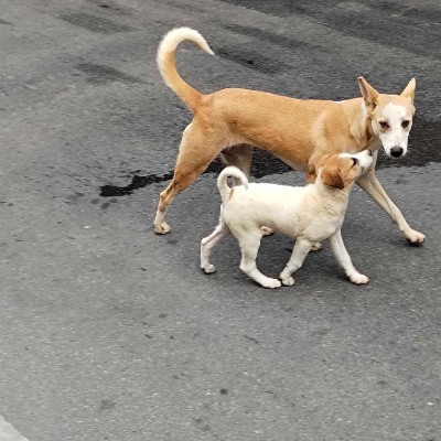 40+ and Fit DODDAIAH . E ಬೆಂಗಳೂರು post image