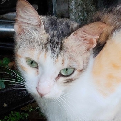 40+ and Fit DODDAIAH . E ಬೆಂಗಳೂರು post image