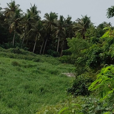 LGBTQ+ DODDAIAH . E ಬೆಂಗಳೂರು post image