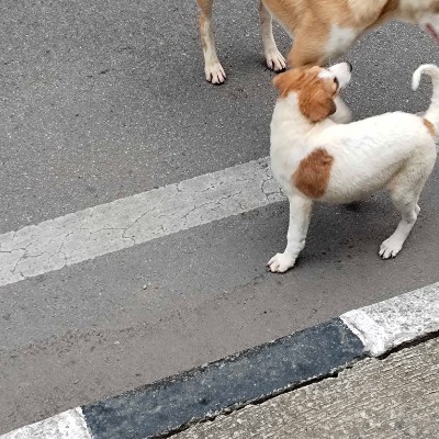 NATURE DODDAIAH . E ಬೆಂಗಳೂರು post image