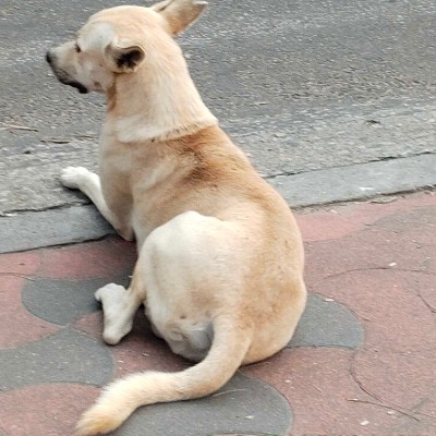 Coffe Heaven☕️🐈 DODDAIAH . E ಬೆಂಗಳೂರು post image