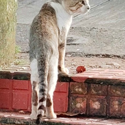 Charmed’s Challengers 2.0 DODDAIAH . E ಬೆಂಗಳೂರು post image