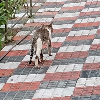 Charmed’s Challengers 2.0 DODDAIAH . E ಬೆಂಗಳೂರು post image