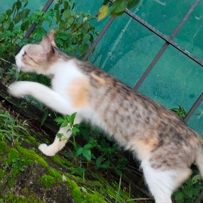 Charmed’s Challengers 2.0 DODDAIAH . E ಬೆಂಗಳೂರು post image