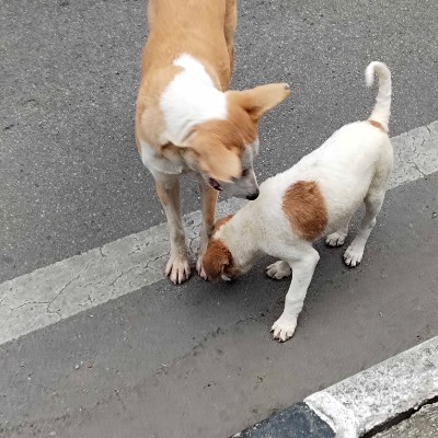 NATURE DODDAIAH . E ಬೆಂಗಳೂರು post image