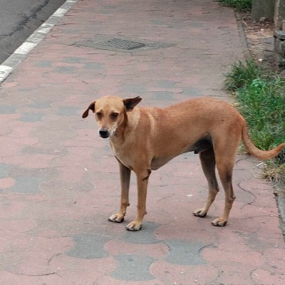 Coffe Heaven☕️🐈 DODDAIAH . E ಬೆಂಗಳೂರು post image