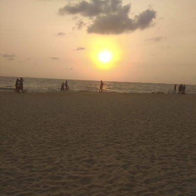 🐶Nos chiens sont là !!🐶 DODDAIAH . E ಬೆಂಗಳೂರು post image