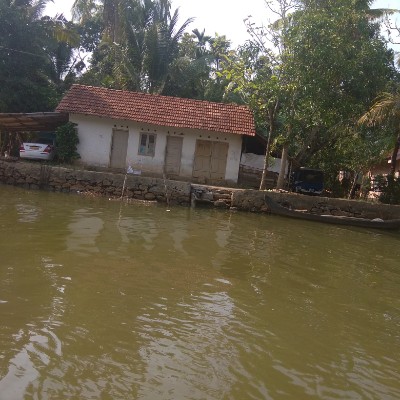 🐶Nos chiens sont là !!🐶 DODDAIAH . E ಬೆಂಗಳೂರು post image