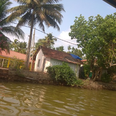 🐶Nos chiens sont là !!🐶 DODDAIAH . E ಬೆಂಗಳೂರು post image